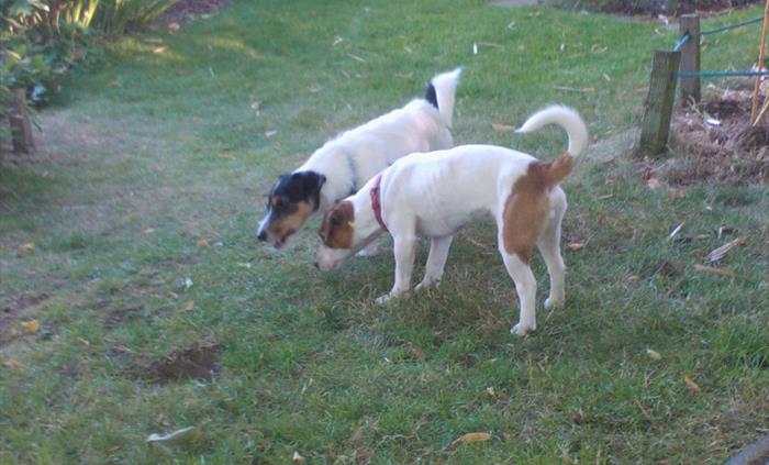 Exploring the garden
